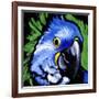 Macaw-null-Framed Art Print