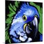 Macaw-null-Mounted Art Print