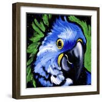 Macaw-null-Framed Art Print