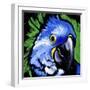 Macaw-null-Framed Art Print