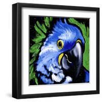 Macaw-null-Framed Art Print