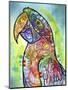 Macaw-Dean Russo-Mounted Giclee Print