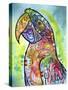 Macaw-Dean Russo-Stretched Canvas