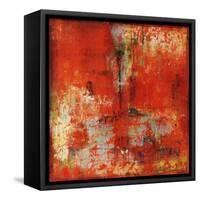 Macaw-Alexys Henry-Framed Stretched Canvas