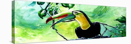 Macaw-Cherie Roe Dirksen-Stretched Canvas