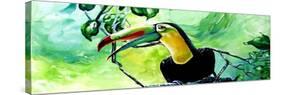 Macaw-Cherie Roe Dirksen-Stretched Canvas