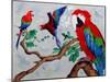 Macaws, 2006-Maylee Christie-Mounted Giclee Print