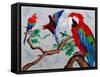 Macaws, 2006-Maylee Christie-Framed Stretched Canvas