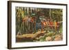 Macaws and Alligator, Florida-null-Framed Art Print