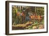 Macaws and Alligator, Florida-null-Framed Art Print