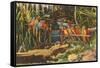 Macaws and Alligator, Florida-null-Framed Stretched Canvas