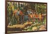 Macaws and Alligator, Florida-null-Framed Art Print