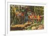 Macaws and Alligator, Florida-null-Framed Art Print