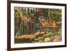 Macaws and Alligator, Florida-null-Framed Art Print