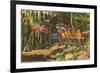 Macaws and Alligator, Florida-null-Framed Art Print