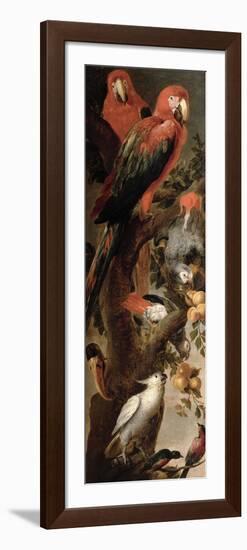 Macaws and Parrots-Frans Snyders Or Snijders-Framed Premium Giclee Print