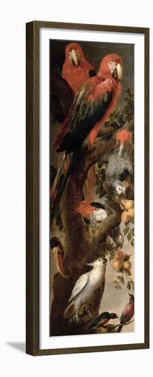 Macaws and Parrots-Frans Snyders Or Snijders-Framed Premium Giclee Print