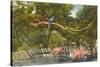 Macaws, Flamingos, Cockatoo, Florida-null-Stretched Canvas