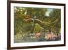 Macaws, Flamingos, Cockatoo, Florida-null-Framed Art Print