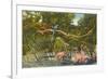 Macaws, Flamingos, Cockatoo, Florida-null-Framed Premium Giclee Print