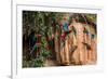 Macaws in Clay Lick in the Peruvian Amazon Jungle at Madre De Dios Peru-OSTILL-Framed Photographic Print