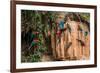 Macaws in Clay Lick in the Peruvian Amazon Jungle at Madre De Dios Peru-OSTILL-Framed Photographic Print