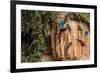 Macaws in Clay Lick in the Peruvian Amazon Jungle at Madre De Dios Peru-OSTILL-Framed Photographic Print