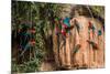 Macaws in Clay Lick in the Peruvian Amazon Jungle at Madre De Dios Peru-OSTILL-Mounted Photographic Print