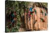 Macaws in Clay Lick in the Peruvian Amazon Jungle at Madre De Dios Peru-OSTILL-Stretched Canvas