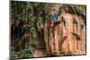 Macaws in Clay Lick in the Peruvian Amazon Jungle at Madre De Dios Peru-OSTILL-Mounted Photographic Print