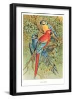 Macaws in the Jungle-null-Framed Art Print