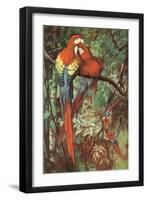 Macaws Nuzzling in Jungle-null-Framed Art Print