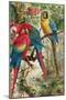Macaws, Plate from "Brehms Tierleben: Allgemeine Kunde Des Tierreichs", Vol.5, P.60, Published by…-German School-Mounted Giclee Print