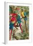 Macaws, Plate from "Brehms Tierleben: Allgemeine Kunde Des Tierreichs", Vol.5, P.60, Published by…-German School-Framed Giclee Print