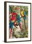 Macaws, Plate from "Brehms Tierleben: Allgemeine Kunde Des Tierreichs", Vol.5, P.60, Published by…-German School-Framed Giclee Print