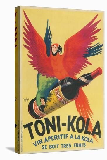 Macaws with Bottle of Kola Liqueur-null-Stretched Canvas