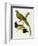 Maccaws, History of Brazilian Birds, 1852-1856-Jean-Theodore Descourtilz-Framed Giclee Print