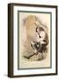 MacDonald of Glenco-R.R.-Framed Art Print