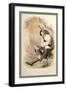 MacDonald of Glenco-R.R.-Framed Art Print