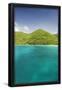 Essential Black