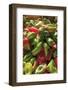 Macedonia, Lake Ohrid, Struga, Peppers Available to Purchase at a Farmers Market-Emily Wilson-Framed Photographic Print