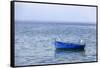 Macedonia, Ohrid and Lake Ohrid. Blue Fishing Boat-Emily Wilson-Framed Stretched Canvas