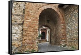 Macedonia, Ohrid, Church of the Holy Mother of God Perivleptos, Ohrid, Macedonia-Emily Wilson-Framed Stretched Canvas