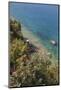 Macedonia, Ohrid, Looking Down into the Blue Water of Lake Ohrid-Emily Wilson-Mounted Photographic Print