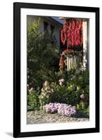 Macedonia, Ohrid, Peppers Hanging to Dry-Emily Wilson-Framed Photographic Print