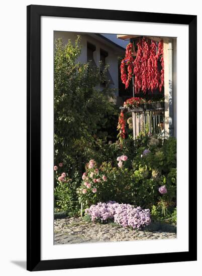 Macedonia, Ohrid, Peppers Hanging to Dry-Emily Wilson-Framed Photographic Print