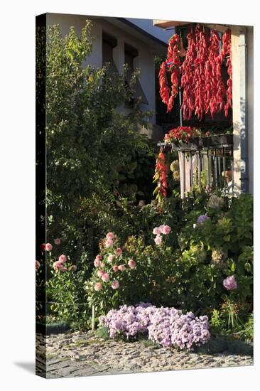 Macedonia, Ohrid, Peppers Hanging to Dry-Emily Wilson-Stretched Canvas