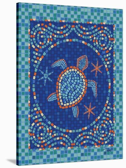 Macedonia Reef Turtle-Teresa Woo-Stretched Canvas