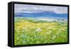 Machair, North End Iona, 2015-Charles Simpson-Framed Stretched Canvas