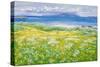 Machair, North End Iona, 2015-Charles Simpson-Stretched Canvas